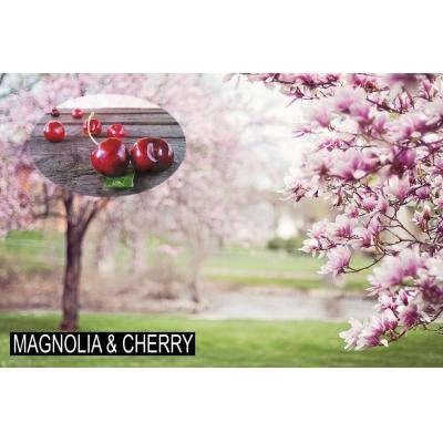Miris magnolije i trešnje